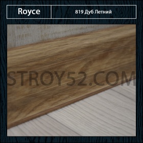 Дуб Летний 819